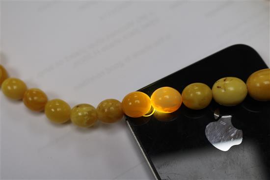 A single strand graduated amber bead necklace, gross weight 19 grams, 38cm.